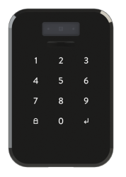 DESi Face Recognition and Touch Keypad - 1