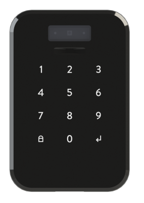 DESi Face Recognition and Touch Keypad - 1
